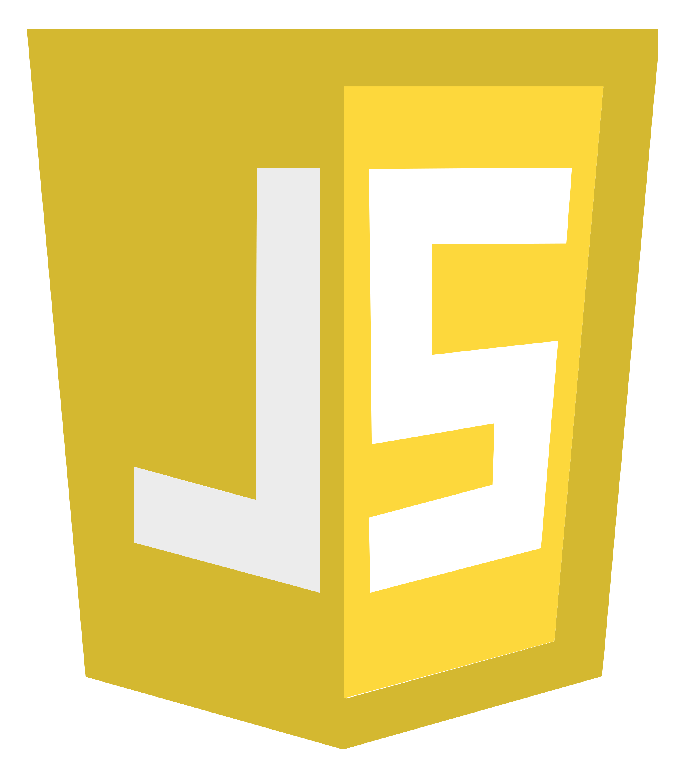 JavaScript Icon